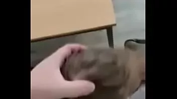 play Den Lehrer für bessere Noten lutschen